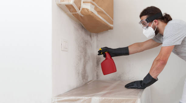Professional Commercial Mold Remediation technician working in Winthrop, MA